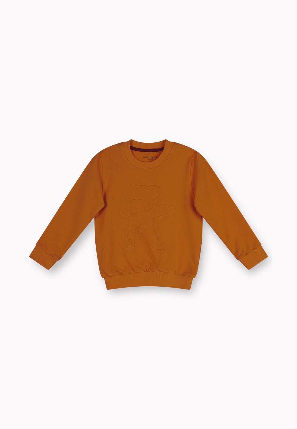 Boys Sweatshirt