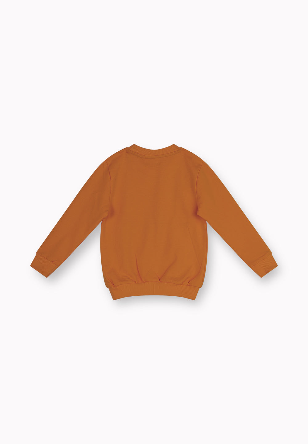Boys Sweatshirt