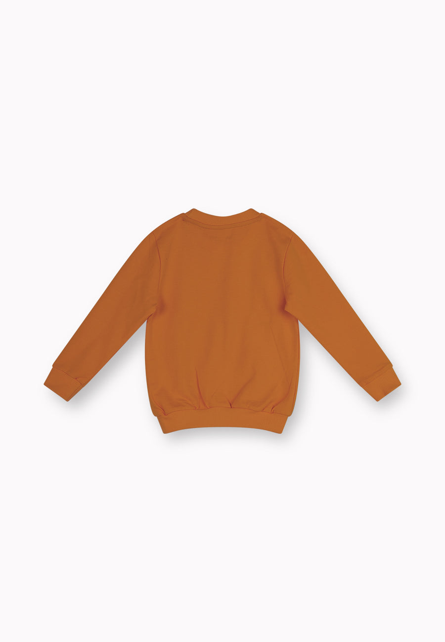 Boys Sweatshirt