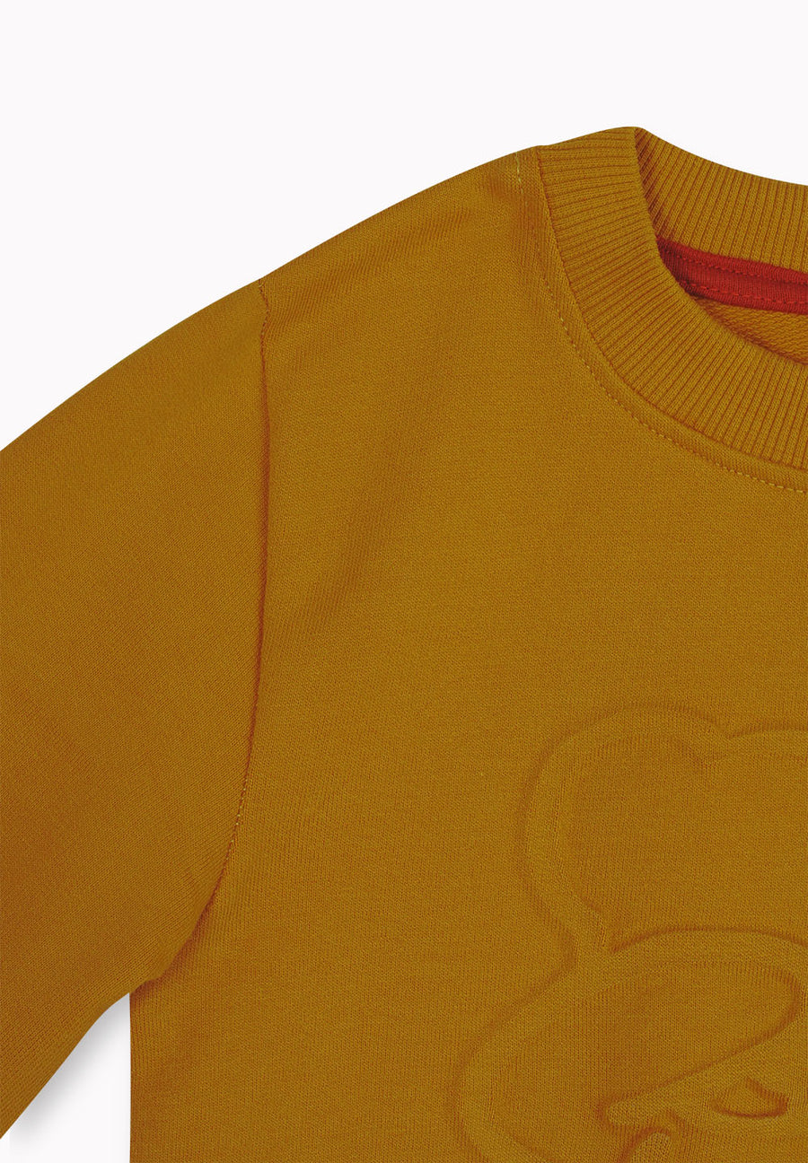 Boys Sweatshirt