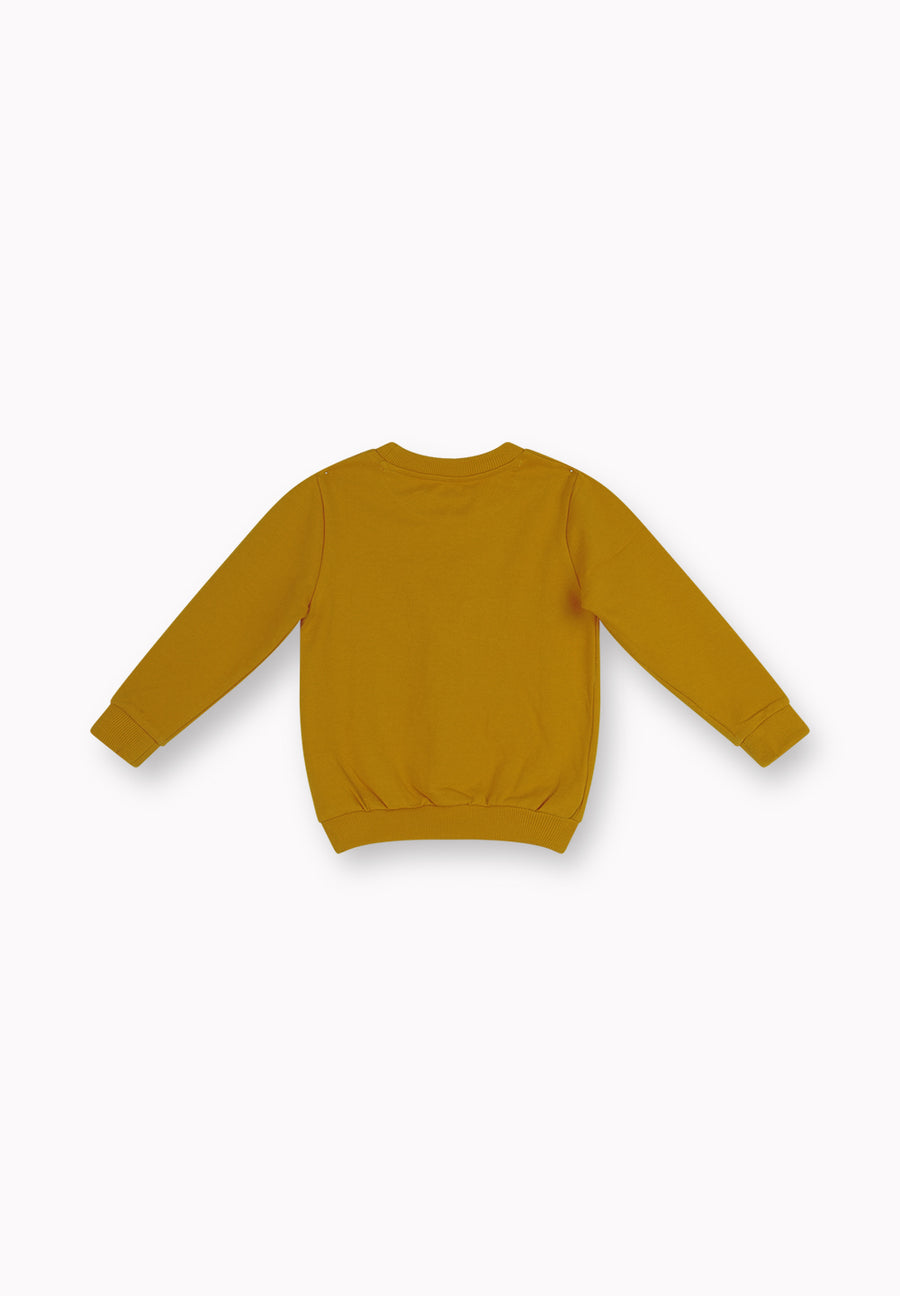 Boys Sweatshirt